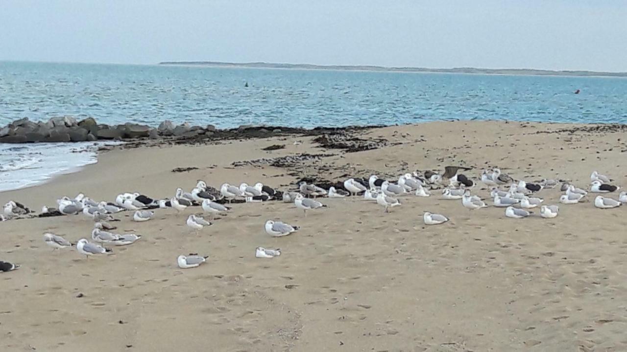 Ma Chaumiere Villa La Cotinière Dış mekan fotoğraf